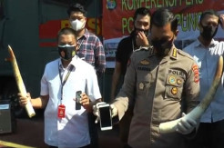 Transaksi Gading Gajah Ratusan Juta Rupiah, 3 Warga Diringkus Polisi