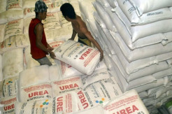 Nasib PT Pupuk Indonesia: Diminta Jaga Ketersediaan Pupuk, tapi Piutangnya Rp11T Belum Dibayar Pemerintah