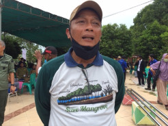 500 Ha Pesisir Babel Akan Ditanami Mangrove Baru