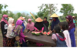 Lahan Kering Ini Ditanami Semangka, Sekali Panen Omsetnya Capai Rp100 Juta