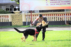 Kapolda Sulut Cek Kemampuan 9 Anjing Pelacak