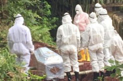 Satu Pasien Postif COVID-19 di Toraja Utara Meninggal Dunia