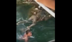 Pamit Nonton Organ Tunggal, Hamzah Ditemukan Tewas