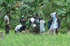 Keren Ini, 150 Petani Milennial di Bangka Tengah Dikumpulkan dan Dibentuk Komunitas