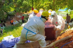 Probable COVID-19, Wanita Muda di Kolaka Meninggal Dunia