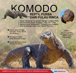 Pemda NTT Bantah Pembangunan Jurasic Park di Taman Nasional Komodo Ganggu Habitat Komodo