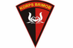 Delapan Oknum Brimob Polda DIY Disanksi Karena Lakukan Kekerasan pada Warga