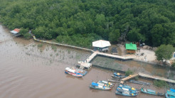 Wisata Hutan Mangrove Kurau Timur Pilihan Tepat Piknik Saat Pandemi