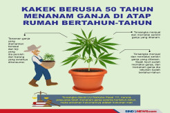 Peredaran 135 Kg Ganja Kering Dibongkar 2 Polres di Sumbar