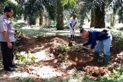 Digali, 3 Bocah Hilang Tak Ditemukan di Gundukan Tanah Mencurigakan