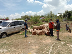 Ranjau Paku-Batu Gagalkan Pencurian Kayu Sonokeling di Rembang