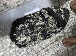 Ambergris, Muntah Paus...
