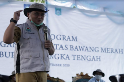 Tekan Inflasi, Pemprov Babel Bantu Petani Bawang Merah