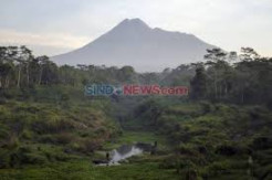 Merapi Siaga, Kelompok Rentan dan Ternak Diungsikan Lebih Awal