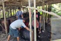 Polisi Obrak Abrik Tungku Pemasakan Minyak Ilegal di Batanghari Jambi