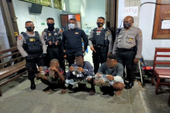Miliki 6 Paket Ganja, Polisi Amankan Tiga Orang Pemuda