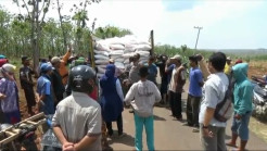 Ratusan Petani di Tuban Hadang Truk Pupuk, Ini Pemicunya