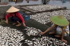 5 Fakta Menarik tentang Danau Sentarum, Kapuas Hulu yang Perlu Diketahui