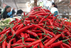 Kerjasama Petani dan BUMN  Perlu Diimplementasikan untuk Mempercepat Ketahanan Pangan