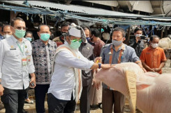 Menteri Pertanian Janji Benahi Pasar Hewan Bolu Toraja Utara