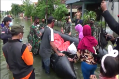 Hampir Sepekan Banjir Rendam 3 Desa di Gresik, Warga Enggan Mengungsi