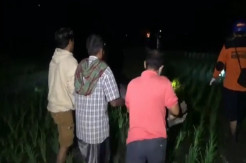Pencari Belut Tewas Tersengat Listrik Jebakan Tikus di Sawah