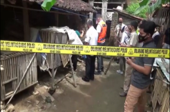 Ponorogo Gempar, Wanita Cantik Bunuh Bayi Hasil Hubungan Gelap di Kandang Ayam