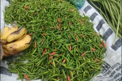 Awal Tahun 2021 Harga Cabai di Aceh Meroket, yang Hijau Tembus Rp60 Ribu/Kg