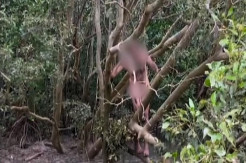 Perampok Telanjang Sembunyi...