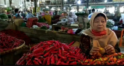 Harga Cabai di Pasar Induk Tradisional Jagasatru Mulai Turun