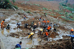 Cegah Longsor, BNPB Minta Masyarakat Tanam Pohon Berakar Kuat
