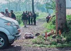 Setengah Telanjang, Mayat Anak Perempuan Dalam Kardus Diduga Korban Kekerasan Seksual