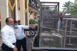 15 Ekor Satwa Dilindungi di Mempawah Disita Polda Kalbar