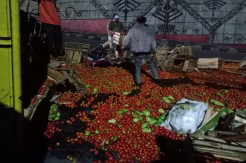Truk Terguling di Depan SPBU Liwa, 6,5 Ton Sayur Berhamburan di Jalan