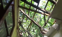 Angin Kencang di Kulon Progo Robohkan Pohon dan Atap Sekolah Ambrol
