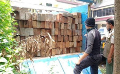 2 Truk Pengangkut Kayu Ilegal Ditangkap, Sopir: yang Punya Bilang Aman