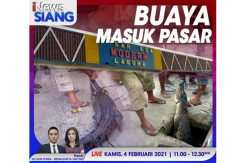 iNews Siang Live di iNews dan RCTI+ Kamis Pukul 11.00: Buaya Masuk Pasar