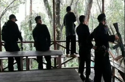 Buru 2 Harimau yang Lepas dari Sinka Zoo Singkawang, BKSDA Dibantu Polisi dan TNI