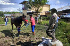 Mengenal Kearifan Masyarakat Gayo Melestarikan Alam