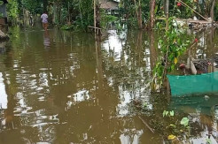 Puluhan Rumah serta Lahan Pertanian di Pangandaran Terendam Banjir