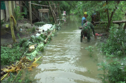 Pintu Air Sungai Dombo Sayung Rusak, Desa Prampelan Banjir