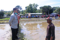 Kunjungi Perbatasan Timor Leste, Mentan Tinjau Persiapan Lumbung Padi Kedua NTT