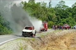 Mobil Polisi Kehutanan Dibakar Orang Tak Dikenal dekat Area Pembalakan Liar