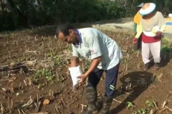 Jadi Miliader dan Borong Mobil Mewah, Petani Tuban Tetap Pilih Bekerja di Ladang
