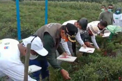Kolaborasi Perusahaan Migas dan Pemprov Ini, Mampu Menjaga Ketahanan Pangan