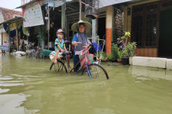 Banjir Jilid 2 Terjang Lamongan, Luapan Anak Bengawan Solo Rendam 62 Desa