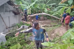 Diterjang Angin Kencang, Belasan Rumah di Pangandaran Rusak Tertimpa Pohon