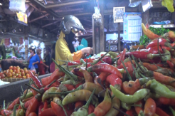 Cuaca Buruk, Harga Cabe Rawit di Kota Probolinggo Melambung