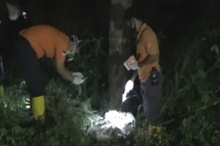 Gowa Gempar! Mayat Penuh Luka Tusuk Ditemukan Membusuk di Dalam Karung