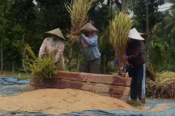 Pandemi, Pertumbuhan Ekonomi Lombok Timur Tertinggi di NTB